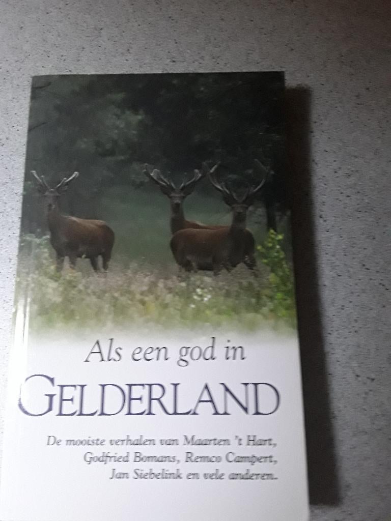 Als een God in Gelderland, Ophalen of Verzenden, Zo goed als nieuw