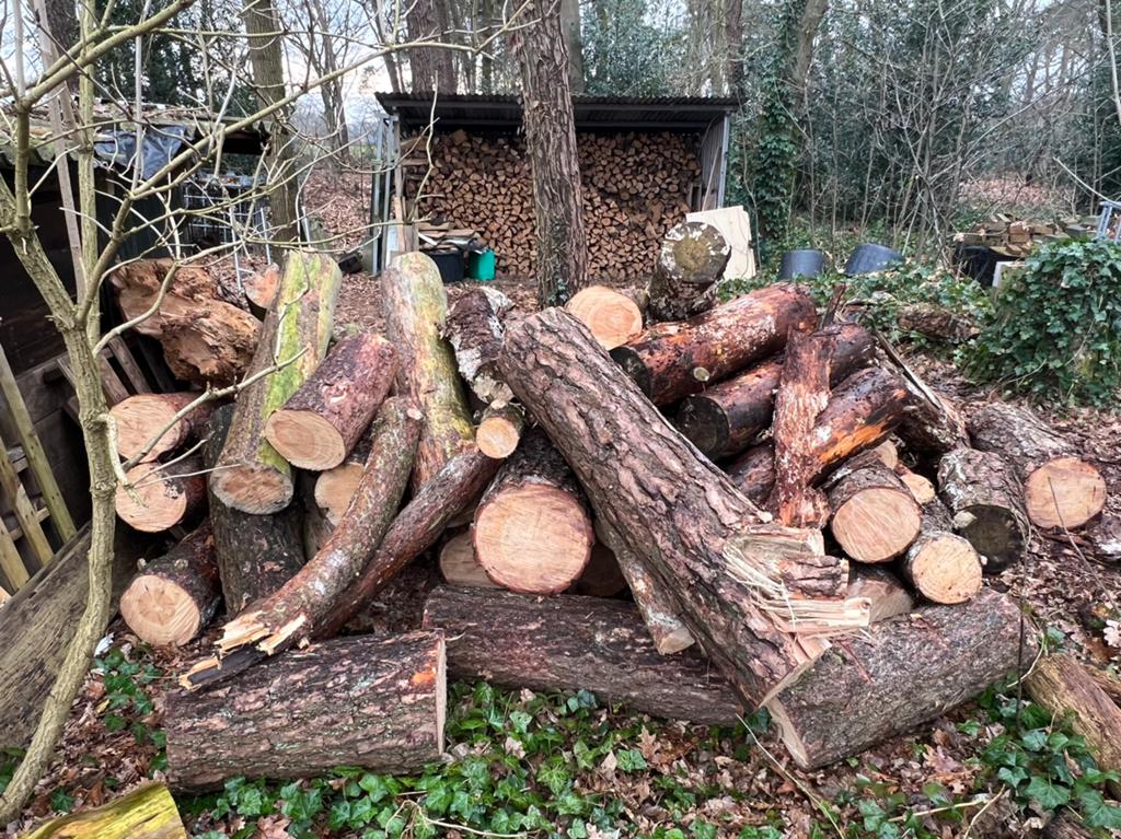 Dennen brandhout, Tuin en Terras, Haardhout, 6 m³ of meer, Ophalen, Overige houtsoorten, Stammen