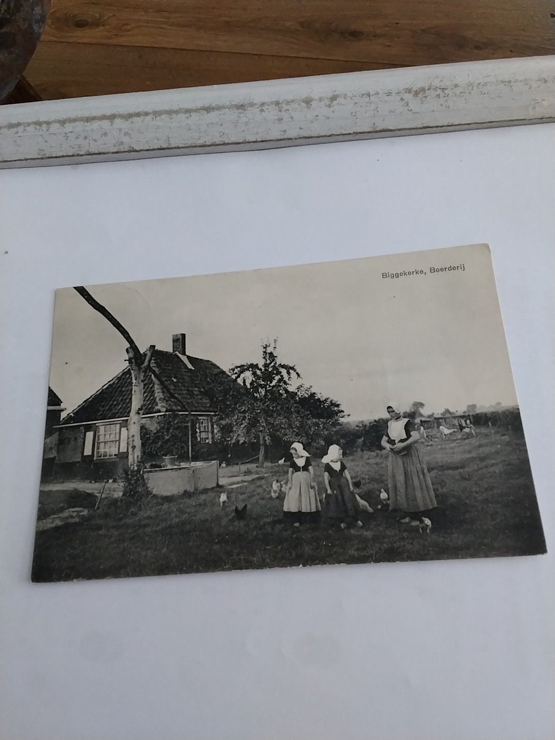 Oude Ansichtkaart Biggekerke, Boerderij - Gelopen, Ophalen of Verzenden, Voor 1920, Gelopen, Zeeland