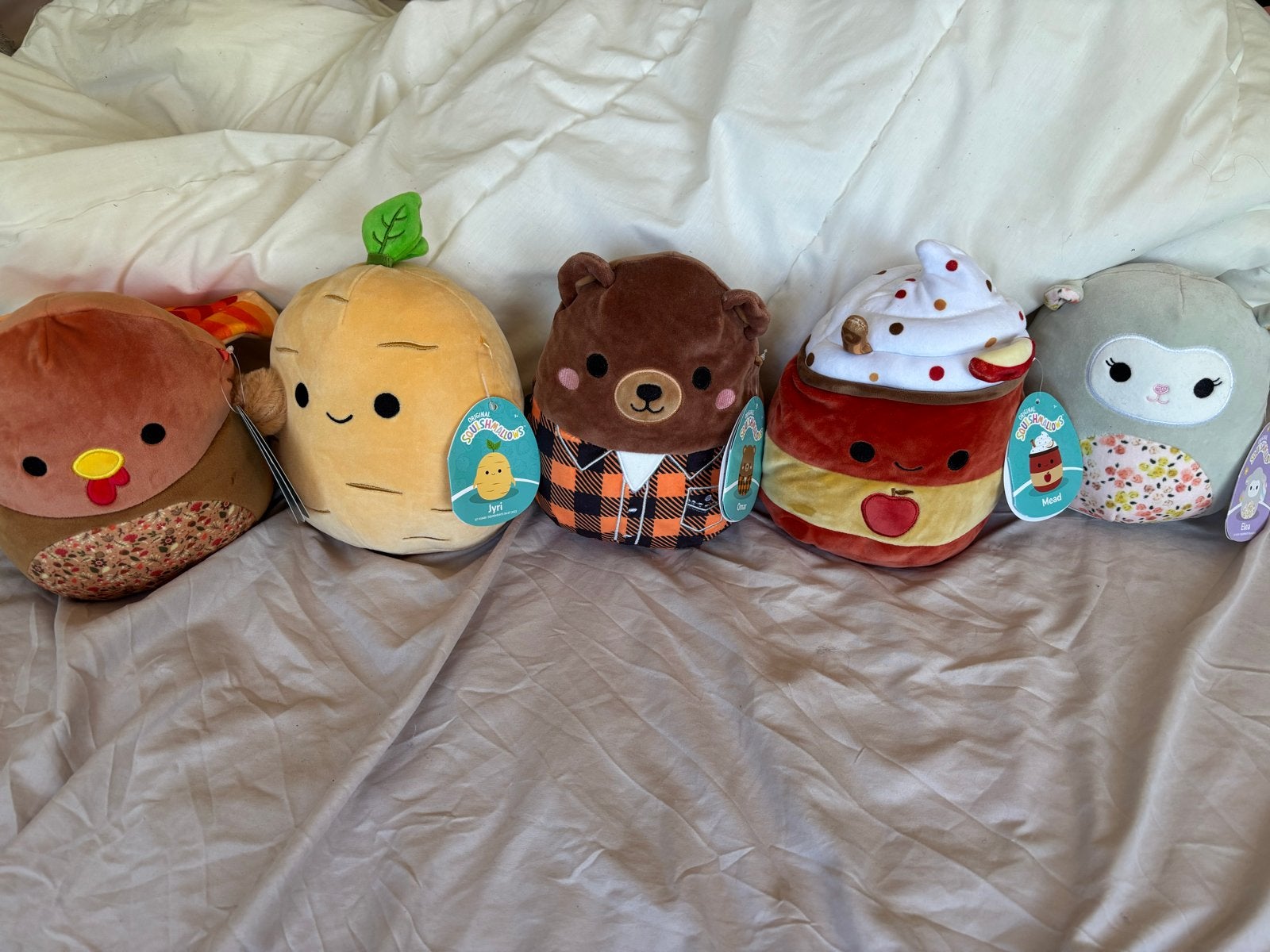 Squishmallow verzameling met tags, Overige typen, Ophalen of Verzenden, Squishmallow, Met label
