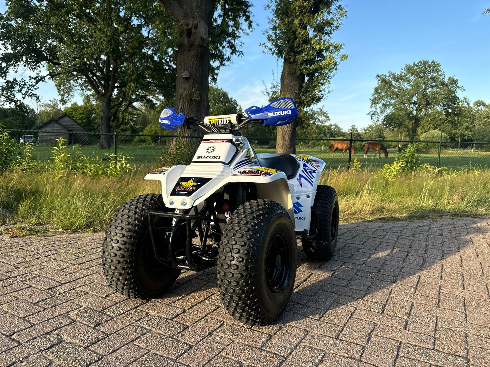 🏁 Suzuki LT80 | Kinderquad | Rockstar 🏁