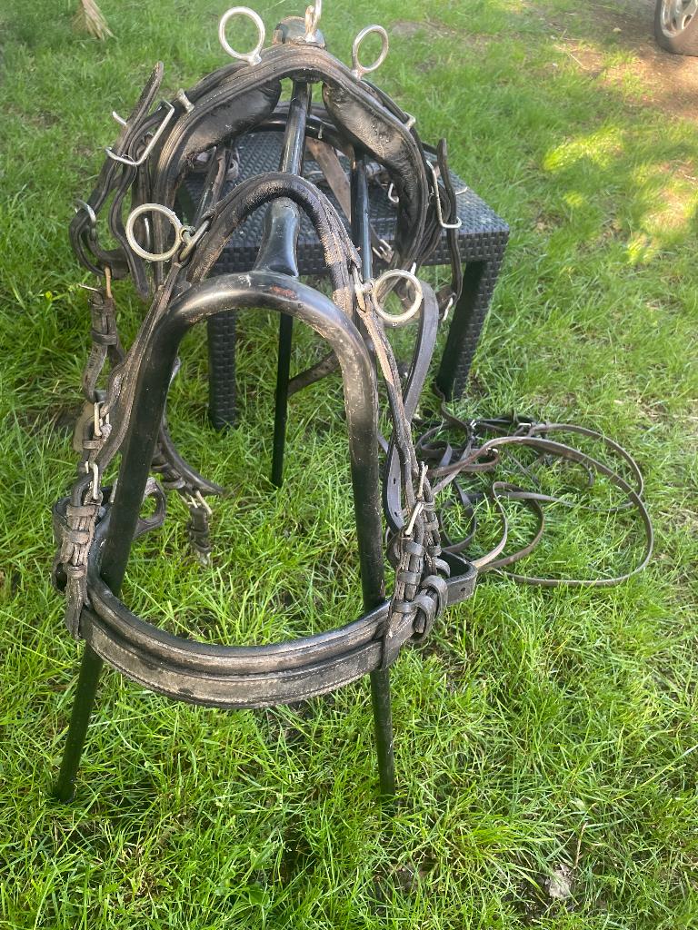 Mentuig kleine shet en sulky, Ophalen, Gebruikt, Recreatie