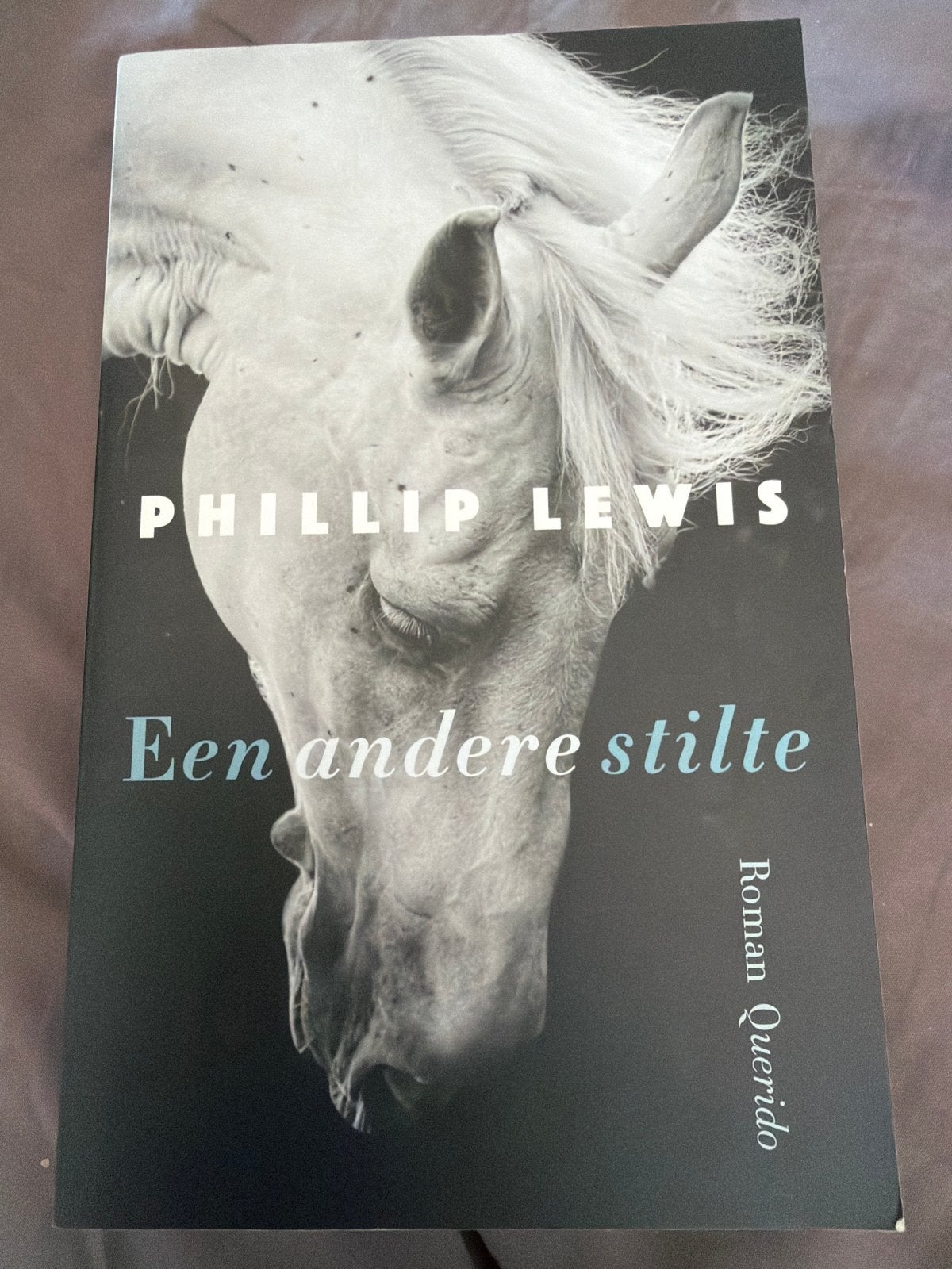 D2.  Phillip Lewis - Een andere stilte, Ophalen of Verzenden, Zo goed als nieuw, Phillip Lewis
