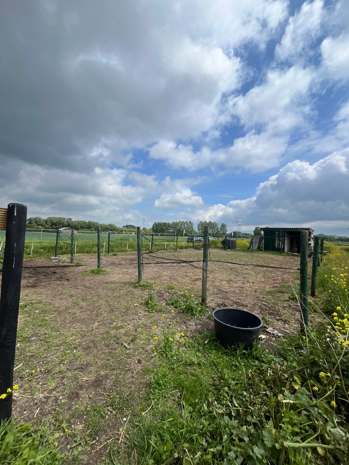 Gezocht: betrokken stalhulp / verzorg(st)er voor privéstal, Dieren en Toebehoren, Paarden en Pony's | Overige Paardenspullen, Ophalen