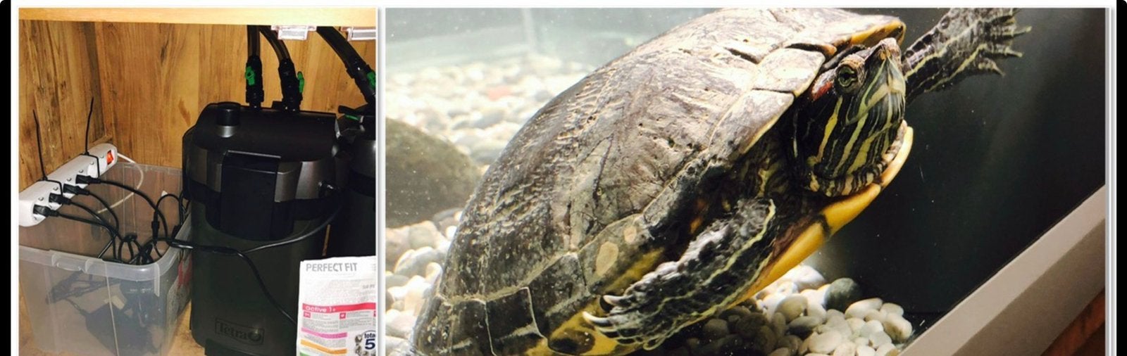 Aquarium voor schildpad compleet, Dieren en Toebehoren, Ophalen, Zo goed als nieuw