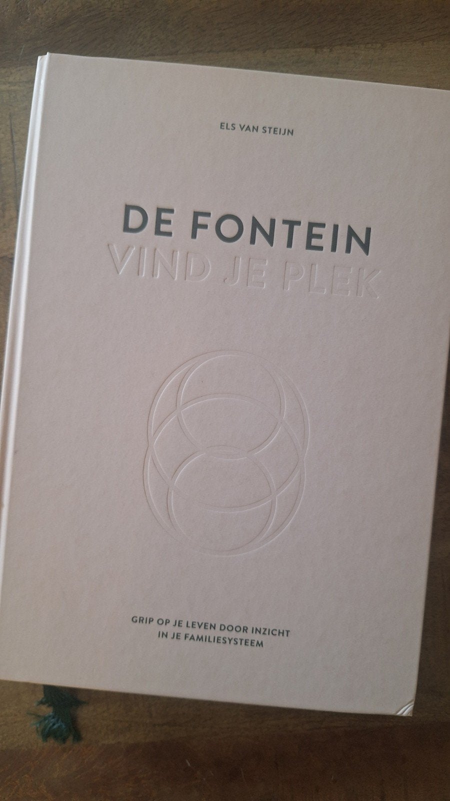 De Fontein: Vind je plek - Els van Steijn, Ophalen of Verzenden, Zo goed als nieuw, Nederland, Els van Steijn