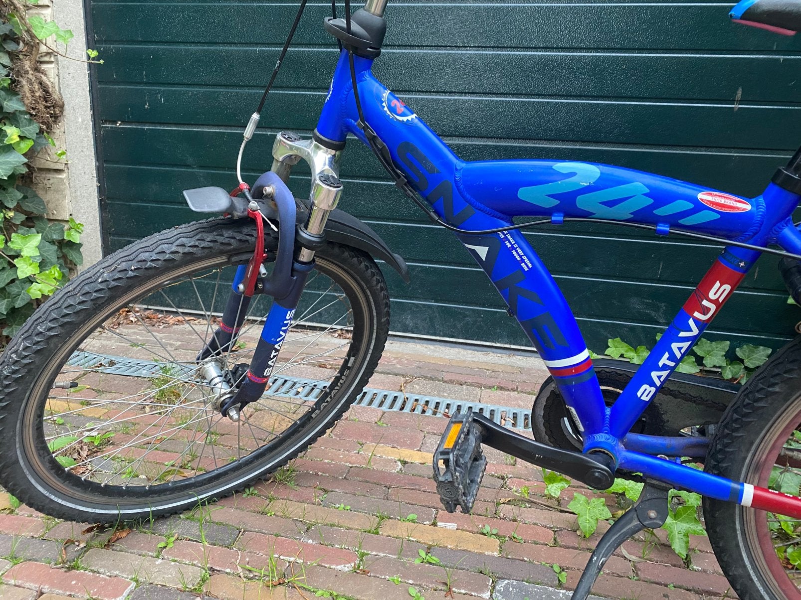 Foto 4 van Batavus Snake 24 inch