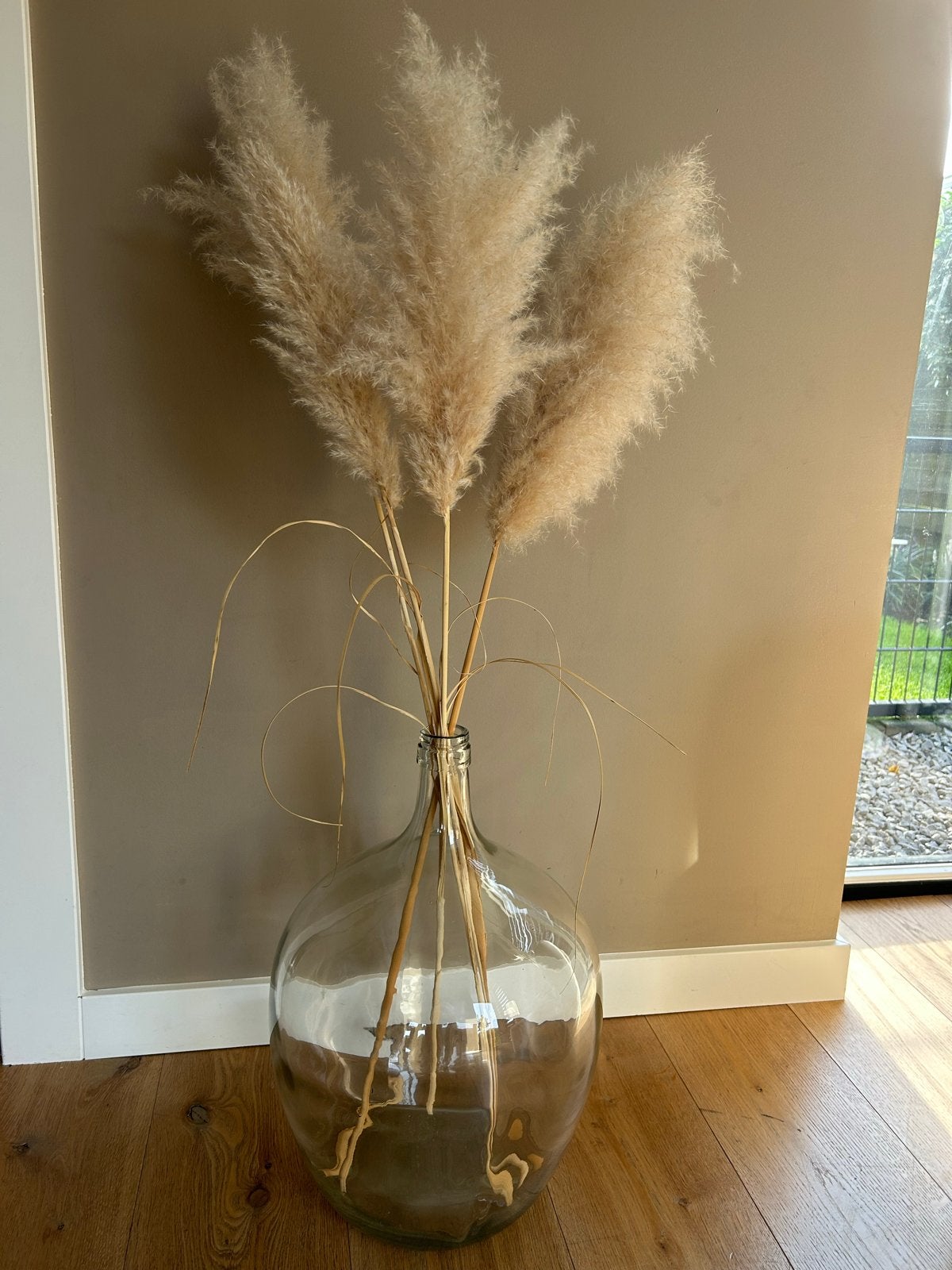 Grote glazen stolp met pampas pluimen, Ophalen, Inclusief decoratie, Transparant, 52 cm