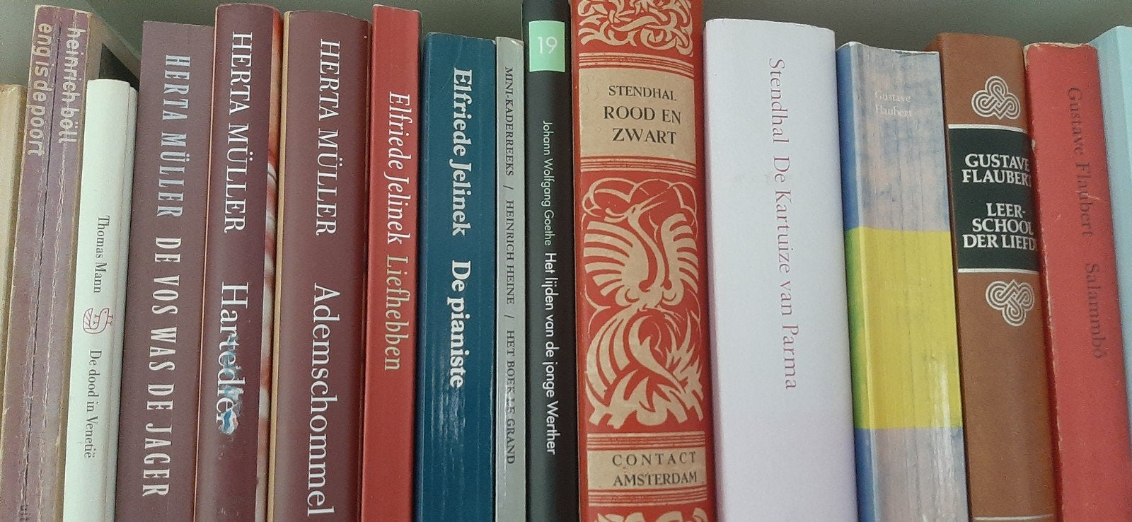 600 literaire boeken – wereldliteratuur, Boeken, Ophalen, Gelezen