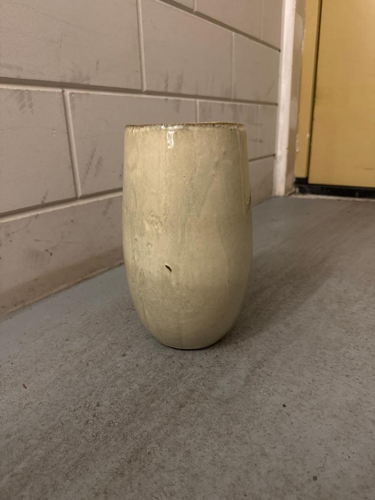 Mooie nieuwe vaas - 40cm hoog, Ophalen of Verzenden, Nieuw, Minder dan 25 cm, Balkon