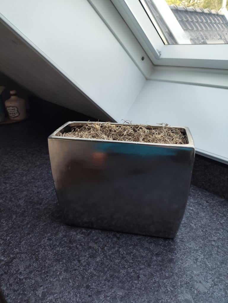 Zilveren pot rechthoekig, Ophalen of Verzenden, Rechthoekig, Minder dan 30 cm
