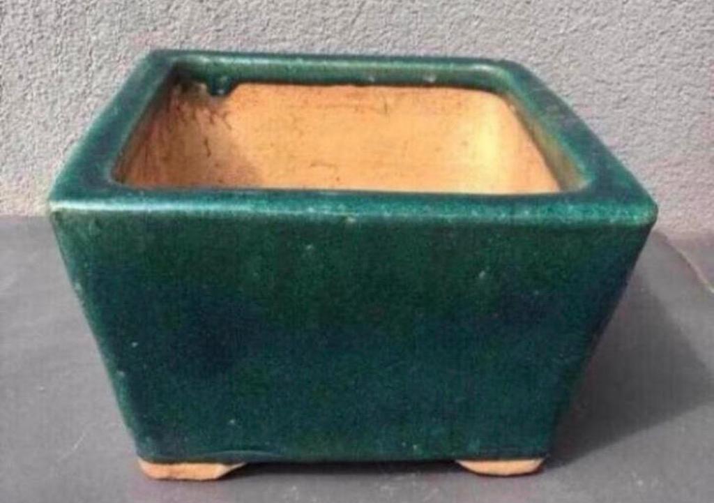 Mooie vintage groene vierkante bloempot bonsai, 25 tot 40 cm, Vierkant, Ophalen of Verzenden, Zo goed als nieuw