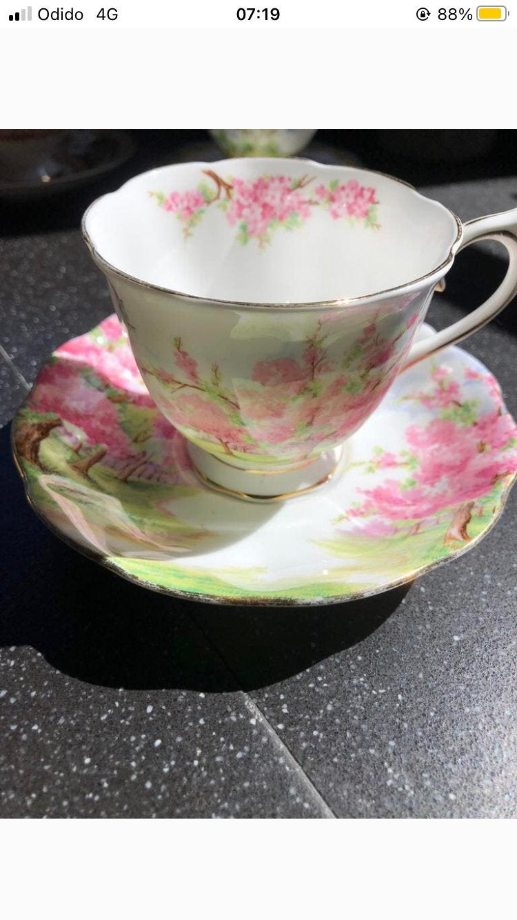 Prachtig uniek exemplaar “Blossom Time” Royal Albert, Ophalen of Verzenden, Zo goed als nieuw, Porselein, Kop en/of schotel