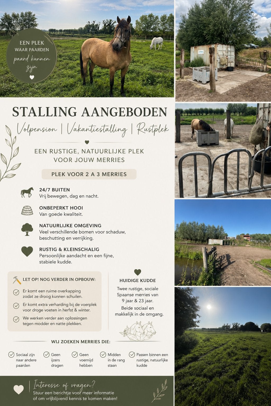 Stalling aangeboden Volpension, Dieren en Toebehoren, Stalling en Weidegang, Stalling