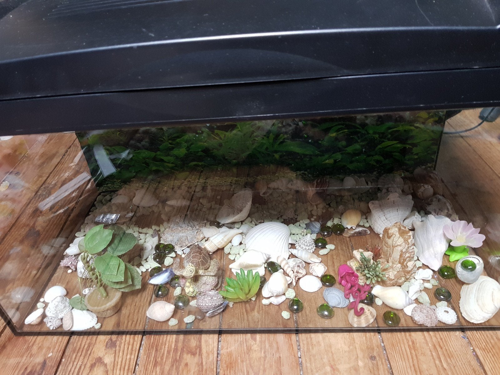 Vissen AQUARIUM, Dieren en Toebehoren, Ophalen