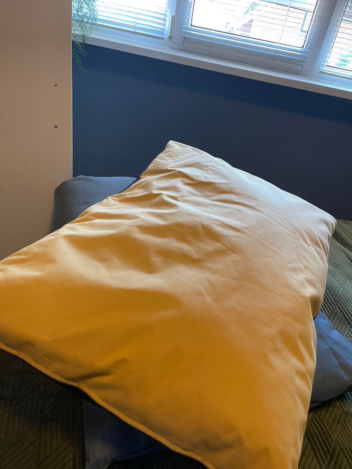 Hondenkussen voor buiten diverse kleuren, Ophalen, Zo goed als nieuw, Hondenmand