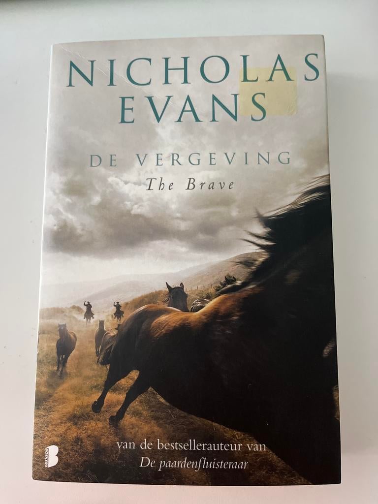 De Vergeving - Nicholas Evans (The Brave), Ophalen of Verzenden, Zo goed als nieuw, Europa overig