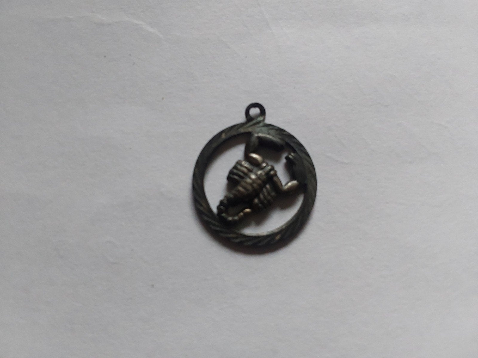 schorpioen kettinghanger, Ophalen of Verzenden, Zo goed als nieuw, Zilver, Overige materialen