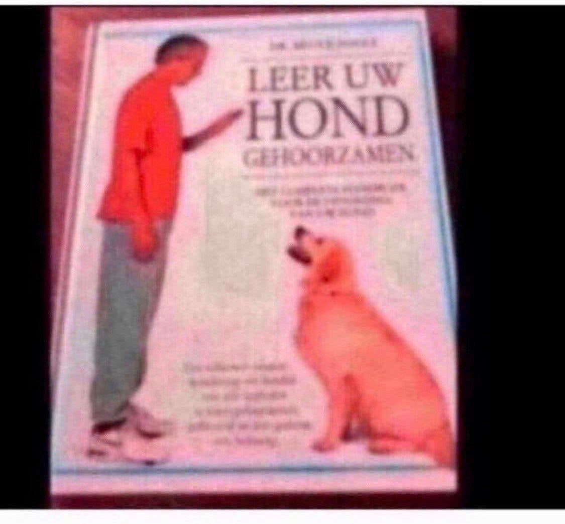 Leer u hond gehoorzamen, Ophalen, Gelezen, Honden