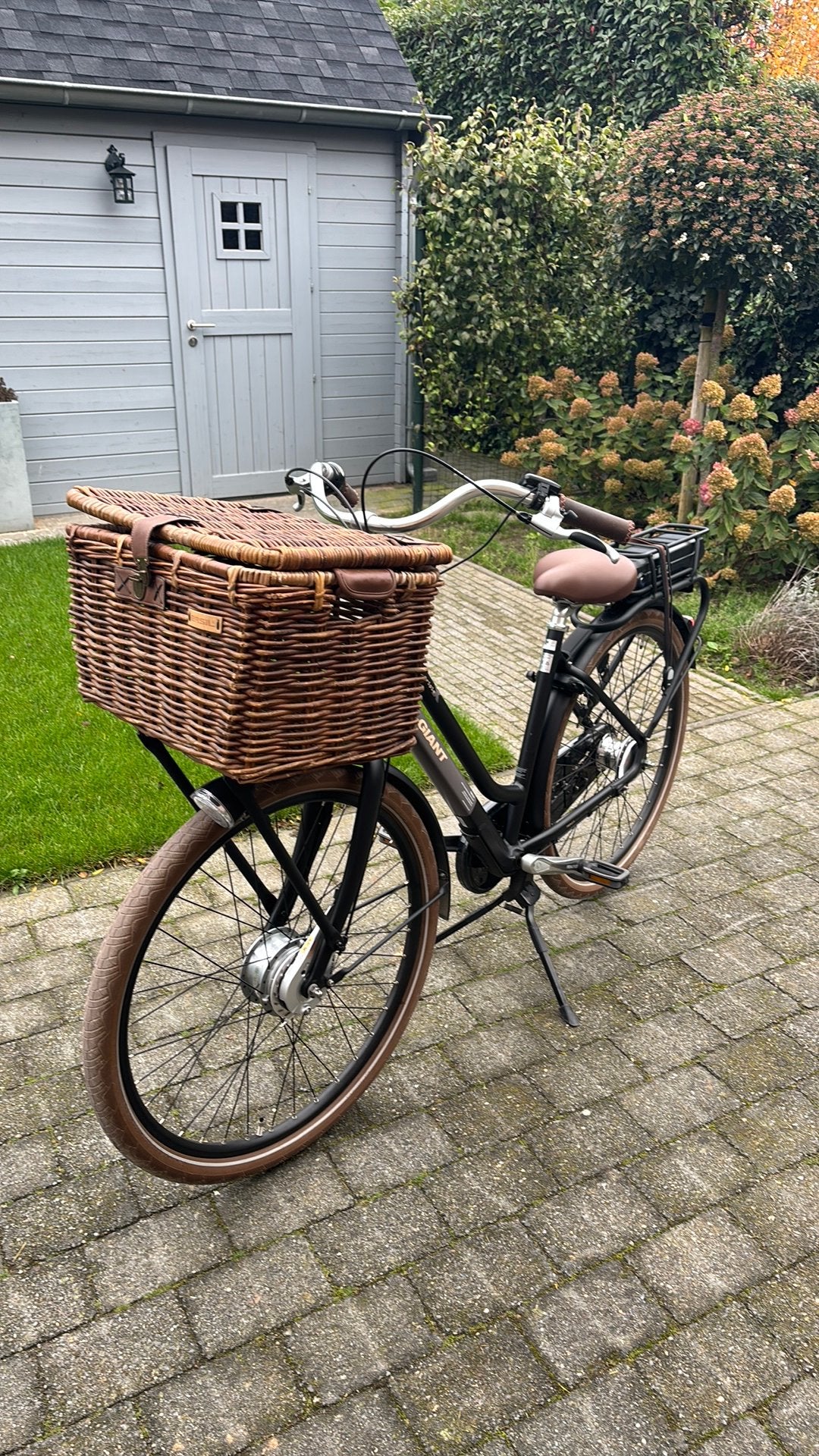 Giant Triple X E+1 elektrische fiets (M-maat), Ophalen, Gebruikt, Giant