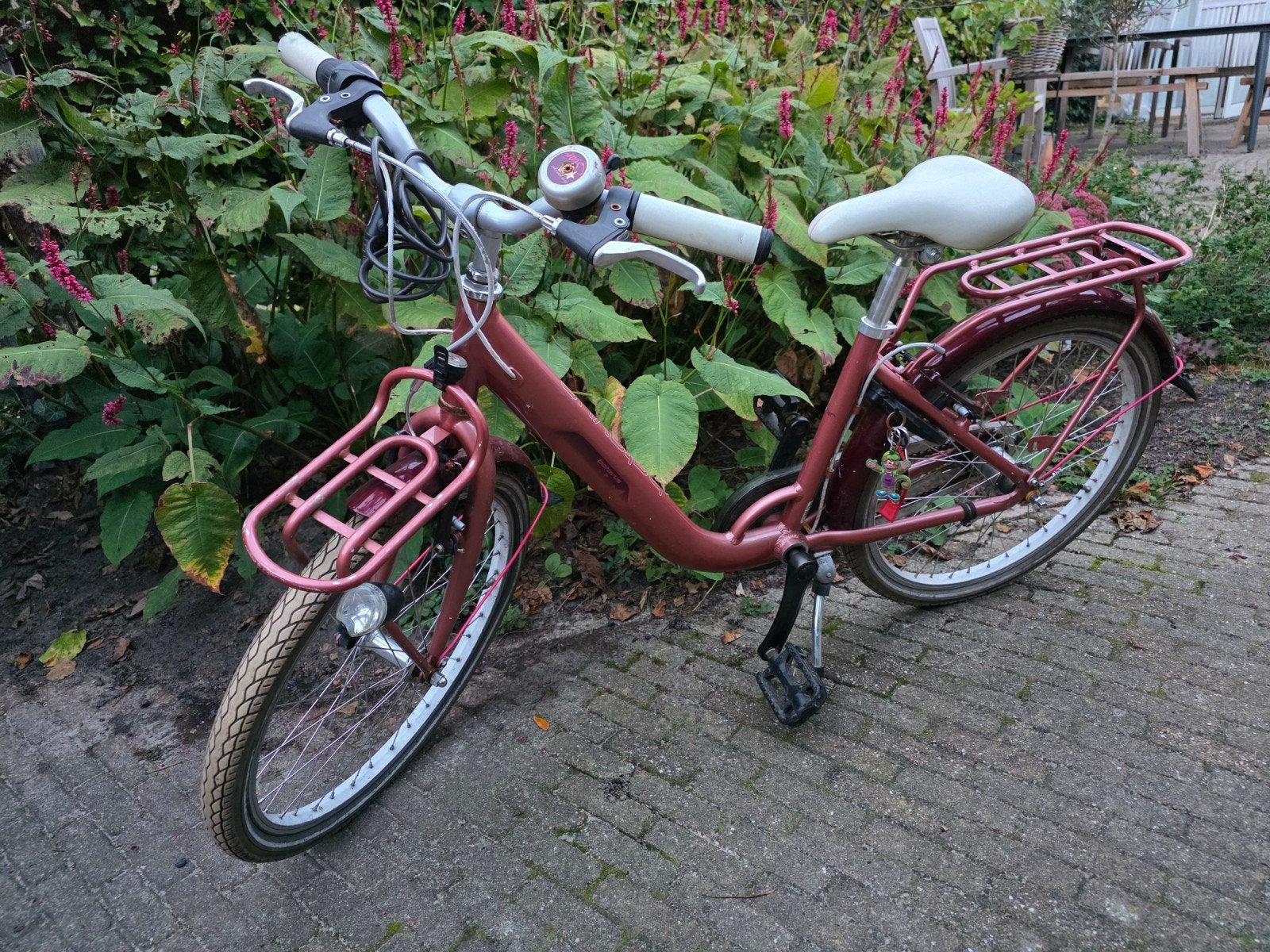 Meisjesfiets met voordrager en bagagedrager, 24inch, Minder dan 47 cm, Ophalen, Gebruikt, Batavus