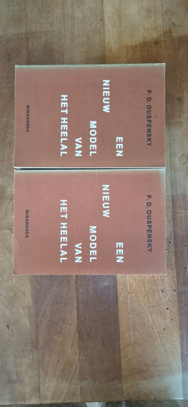 Een Nieuw Model Van Het Heelal - P.D. Ouspensky, Ophalen of Verzenden, Gelezen, P.D. Ouspensky, Nederland