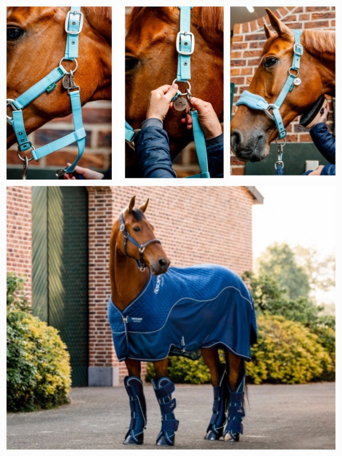 Nieuw Horseware Signature Transportdeken + Grooming Halster, Nieuw, Ophalen of Verzenden, 50 g, V-sluiting