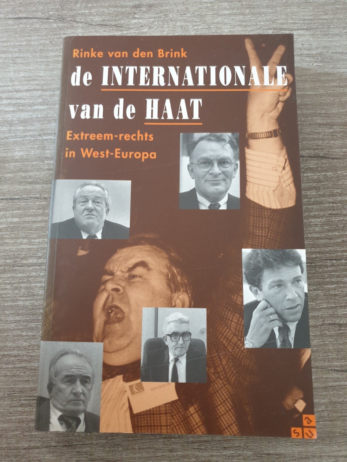 De Internationale van de Haat Extreem-rechts in West-Europ, Ophalen of Verzenden, Gelezen, Rinke van den Brink