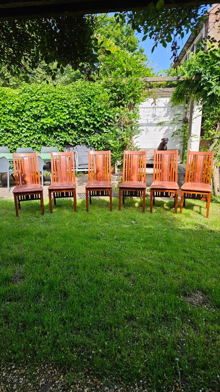 Set van 6 Schapenleren Eetkamerstoelen n, Bruin, Ophalen of Verzenden, Zo goed als nieuw, Vijf, Zes of meer stoelen