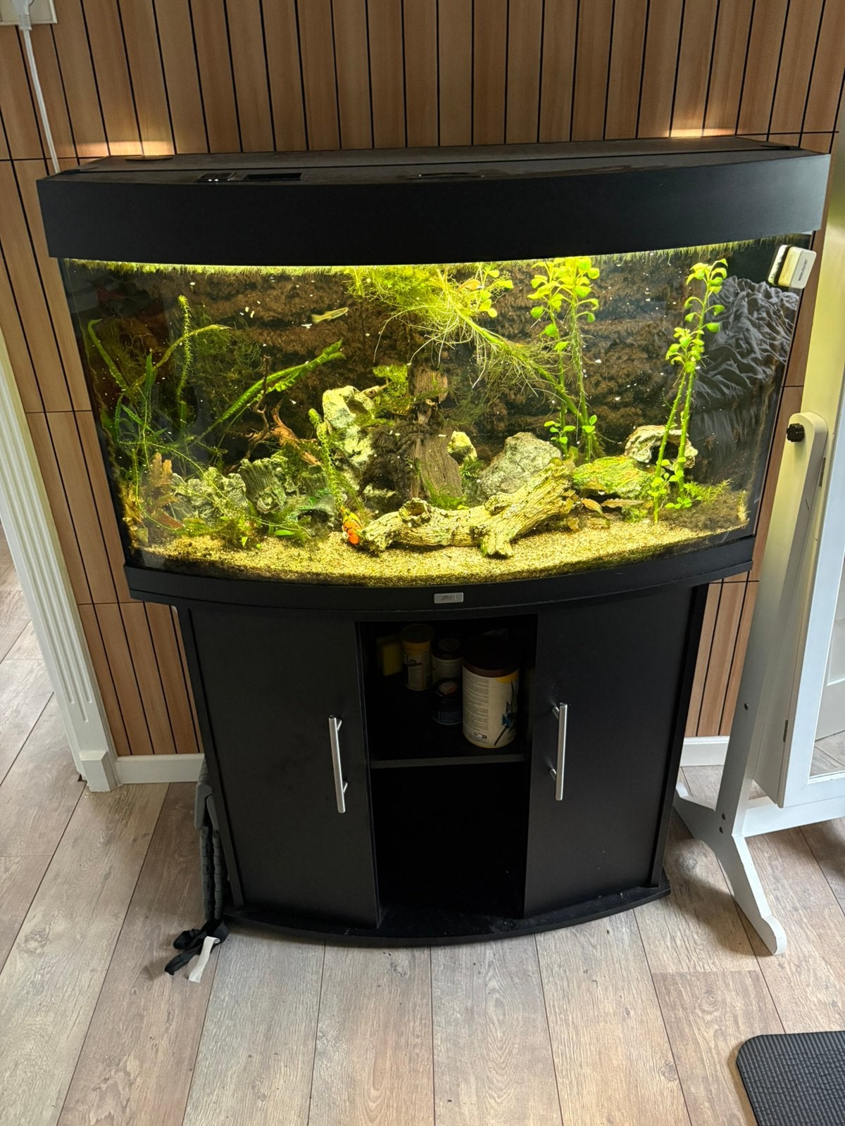 Juwel 100cm, Dieren en Toebehoren, Vissen | Aquaria en Toebehoren, Ophalen, Juwel, Inclusief toebehoren, Gevuld zoetwateraquarium
