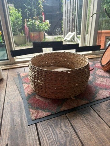 kattenmatje, Ophalen, Zo goed als nieuw, Riet