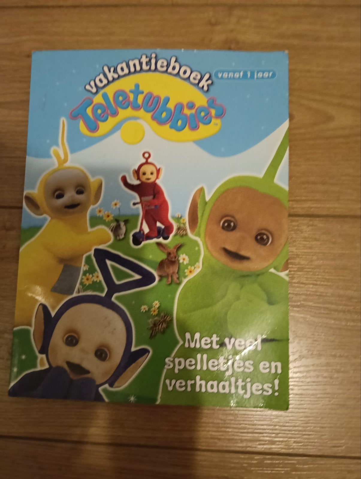 Teletubbies vakantieboek 2010, Boeken, Ophalen of Verzenden, Zo goed als nieuw
