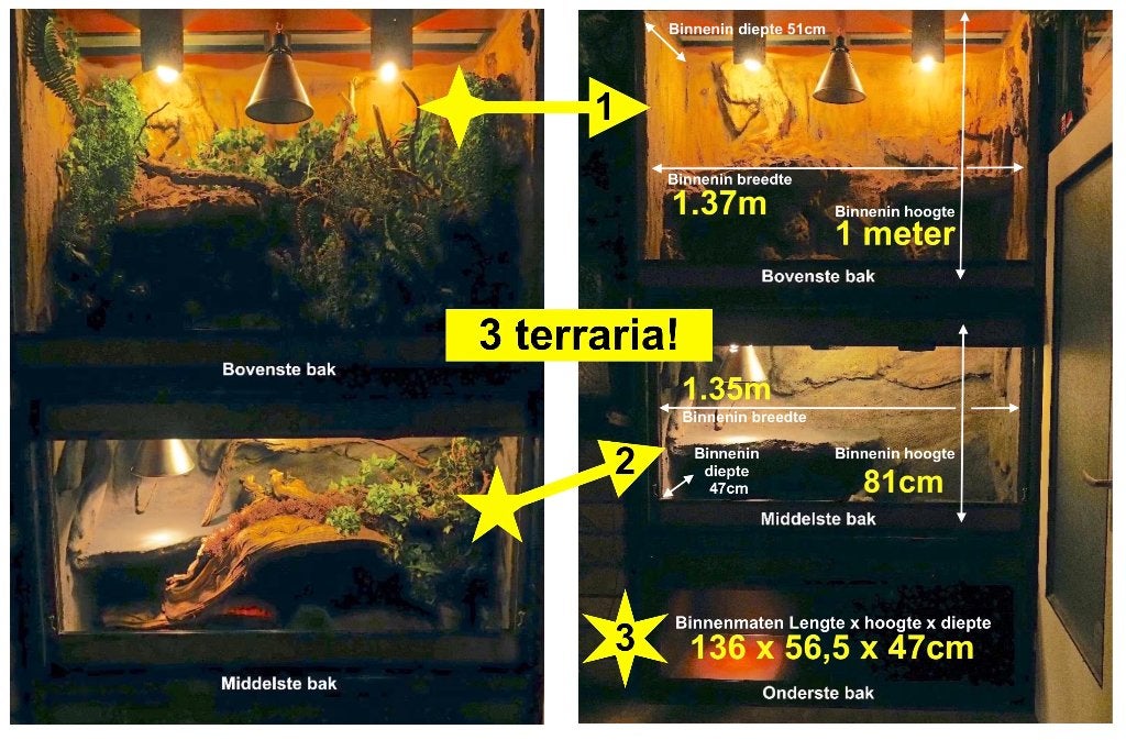 Stelling 3 betonplex bakken;  eventueel los te koop, Ophalen, Gebruikt, Terrarium of Paludarium