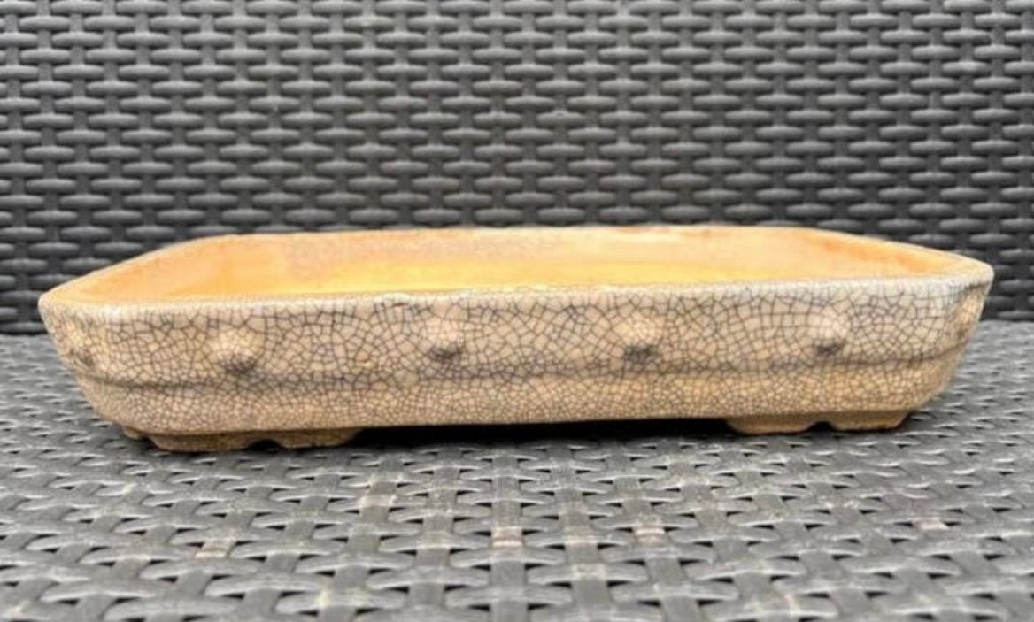 Bonsai schaal crème geglazuurd craquelé effect 32,8x23,3x5, Tuin en Terras, Bloempotten, Ophalen of Verzenden, Zo goed als nieuw