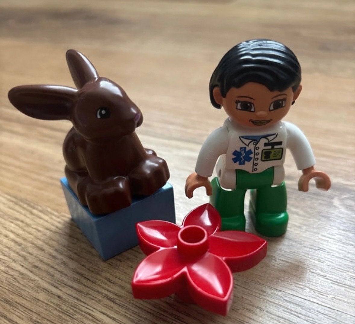 Lego Duplo Konijn, Dokter Minifiguur en Bloem, Ophalen of Verzenden, Gebruikt, Minifiguur, Duplo