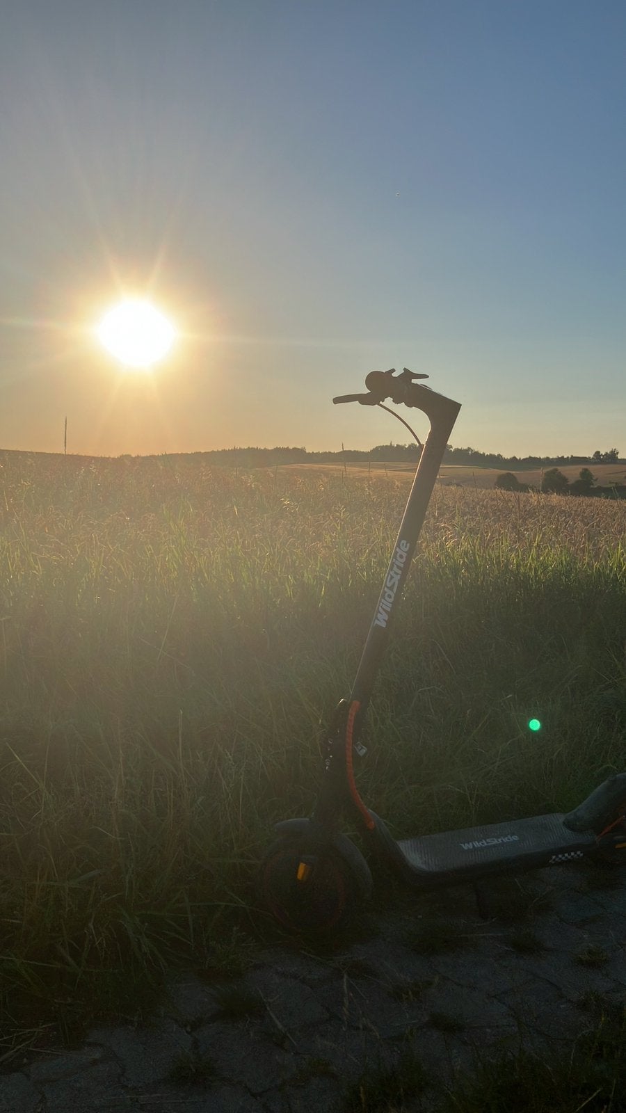 Elektrische step, Fietsen en Brommers, Ophalen, Gebruikt, Elektrische step (E-scooter)