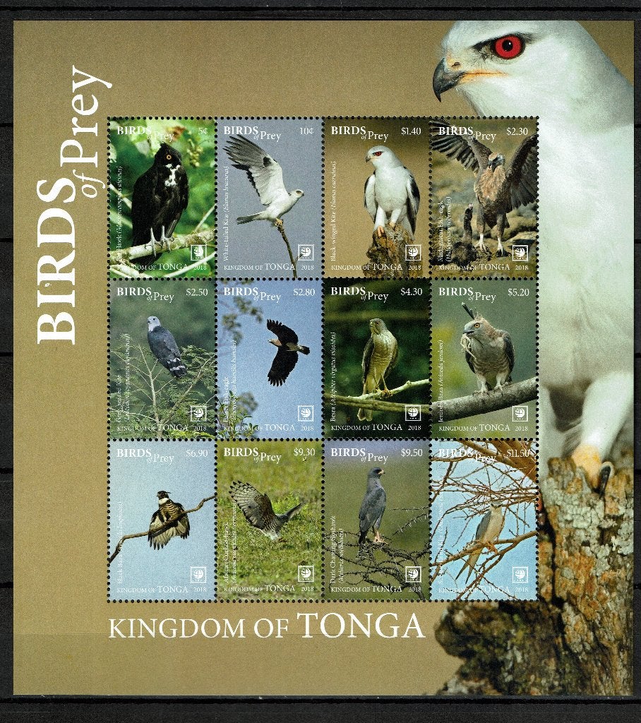 TONGA 2018 PF BLOK ROOFVOGELS BIRDS OF PREY VOGELS, Postzegels en Munten, Ophalen of Verzenden, Postfris, Dier of Natuur