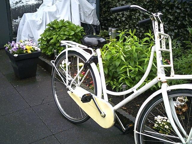 Omafiets Old Dutch, Fietsen en Brommers, 53 tot 56 cm, Ophalen, Gebruikt