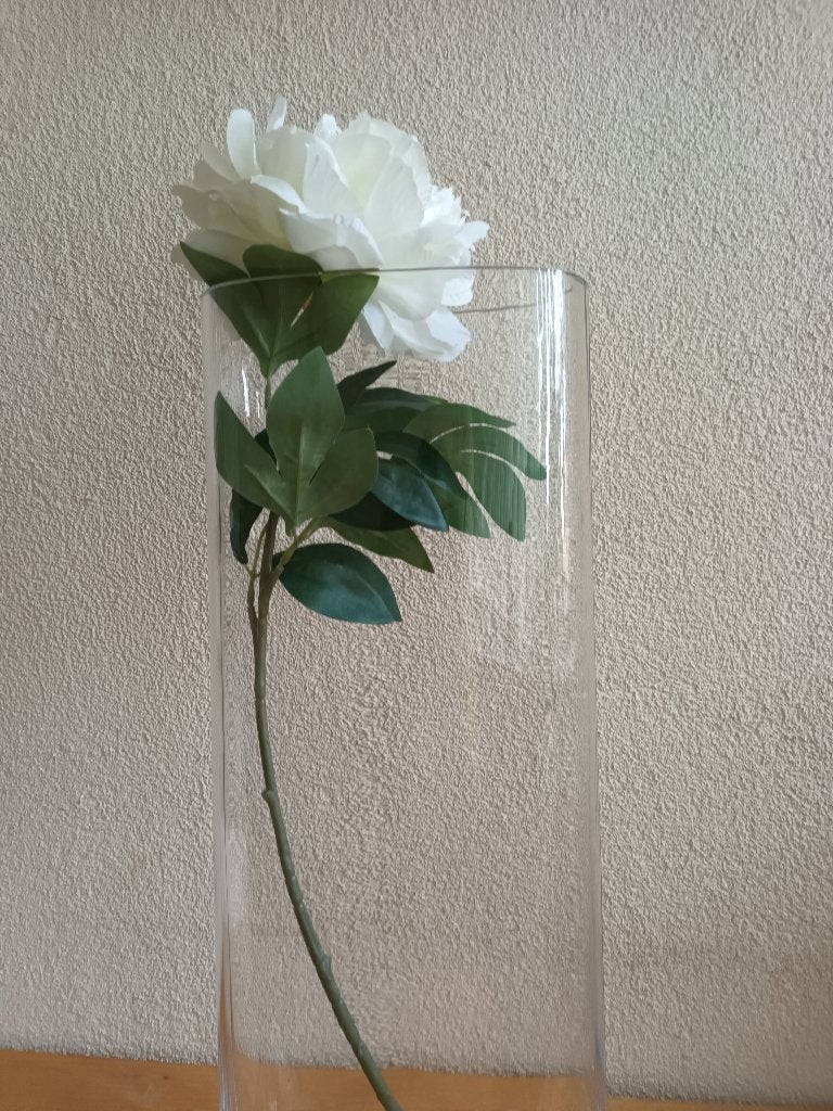 Glazen vaas ovaal, Ophalen, Transparant, Geschikt voor droogbloemen, 60 cm