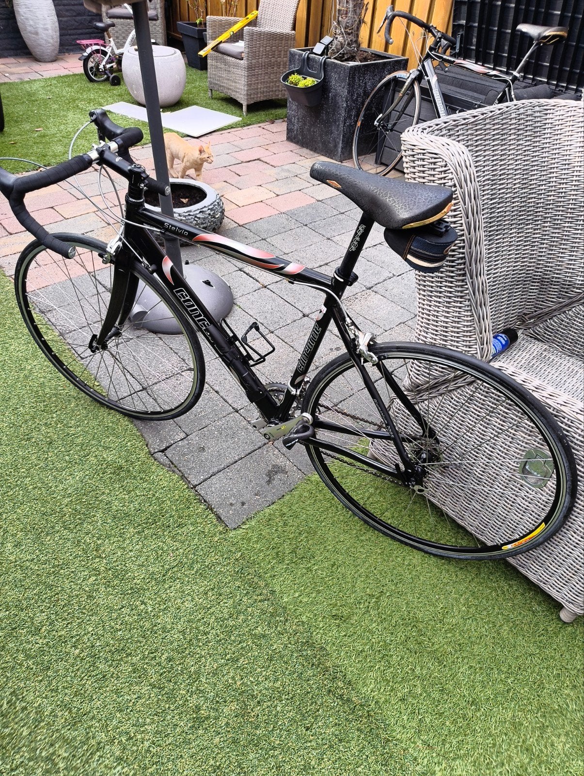 Concorde Stelvio racefiets, Zo goed als nieuw, Meer dan 20 versnellingen, 53 tot 57 cm, Ophalen