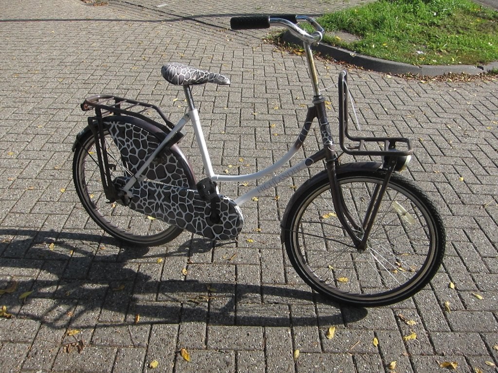 Highlander meisjes Omafiets, Terugtraprem, N, N, Ophalen