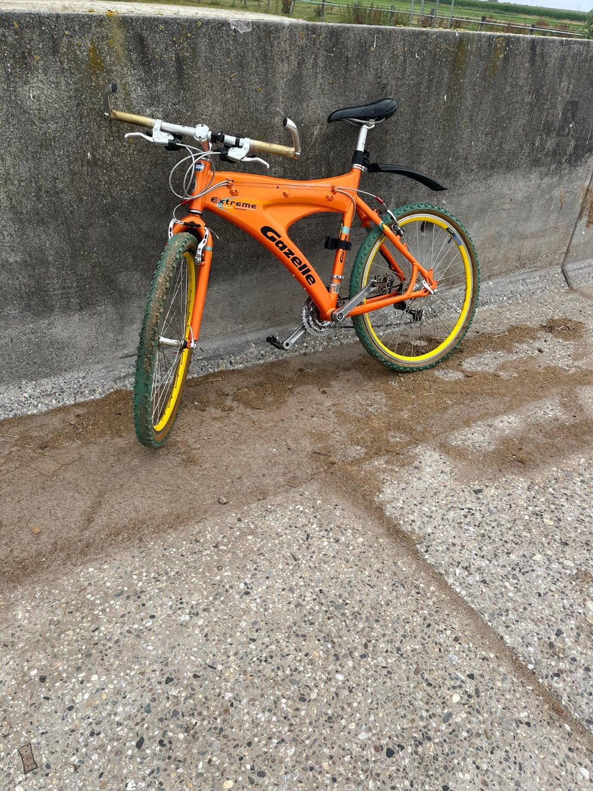 Fiets gazelle, Ophalen of Verzenden, Zo goed als nieuw, Staal