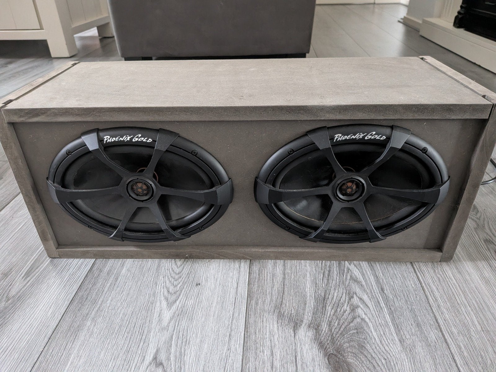 Zelfgemaakte speakerbox met Phoenix Gold speakers, Ophalen, Zo goed als nieuw