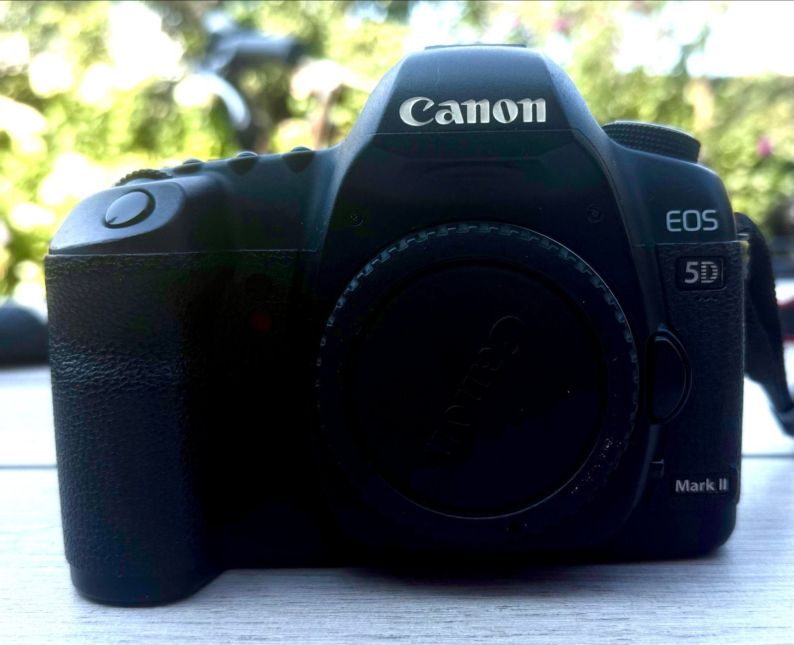 Canon EOS 5D Mark II Body met grip en tas, Ophalen, Gebruikt, Spiegelreflex, Canon