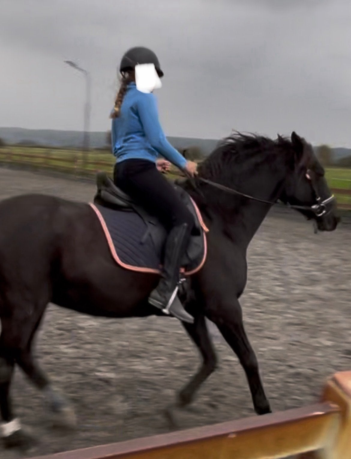 Pony of paard gezocht om te verzorgen en bij te rijden