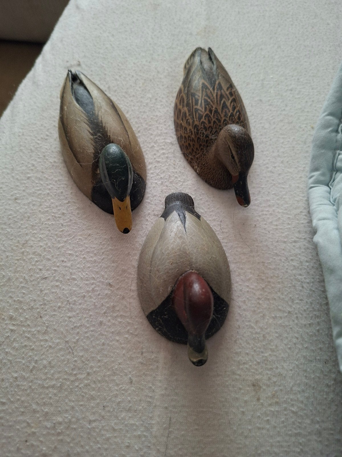 Mallard eendjes, Ophalen of Verzenden, Zo goed als nieuw, Dier