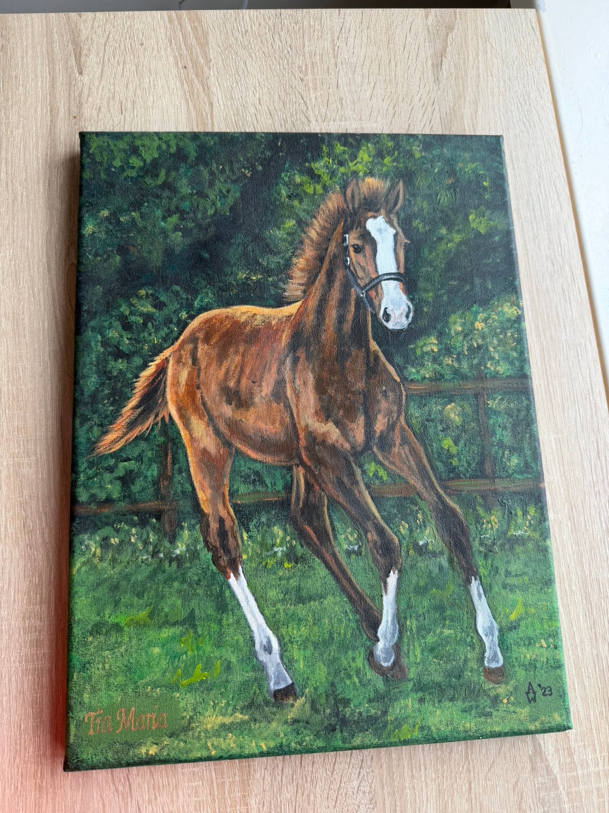 Paarden schilderij, Ophalen of Verzenden, Dieren