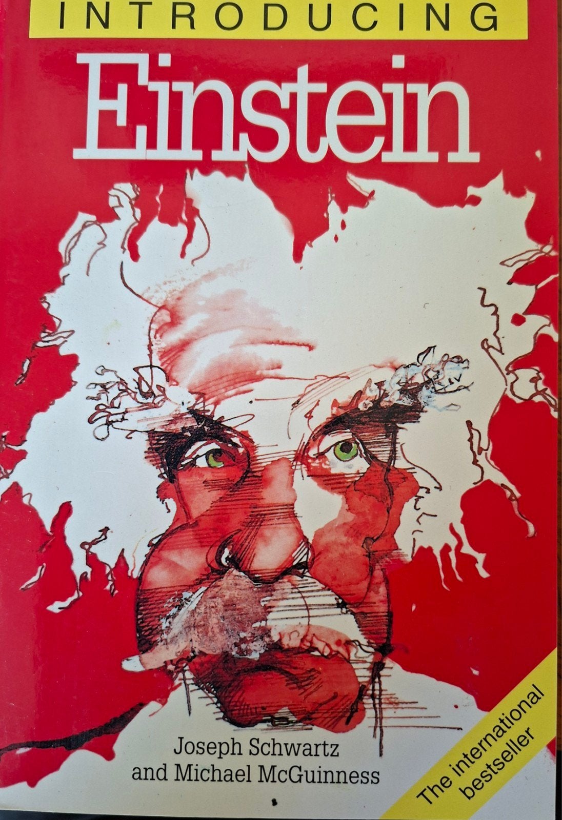 Introducing Einstein: Een introductie tot zijn leven en werk, Boeken, Ophalen of Verzenden, Zo goed als nieuw, Joseph Schwartz and Michael McGuinness