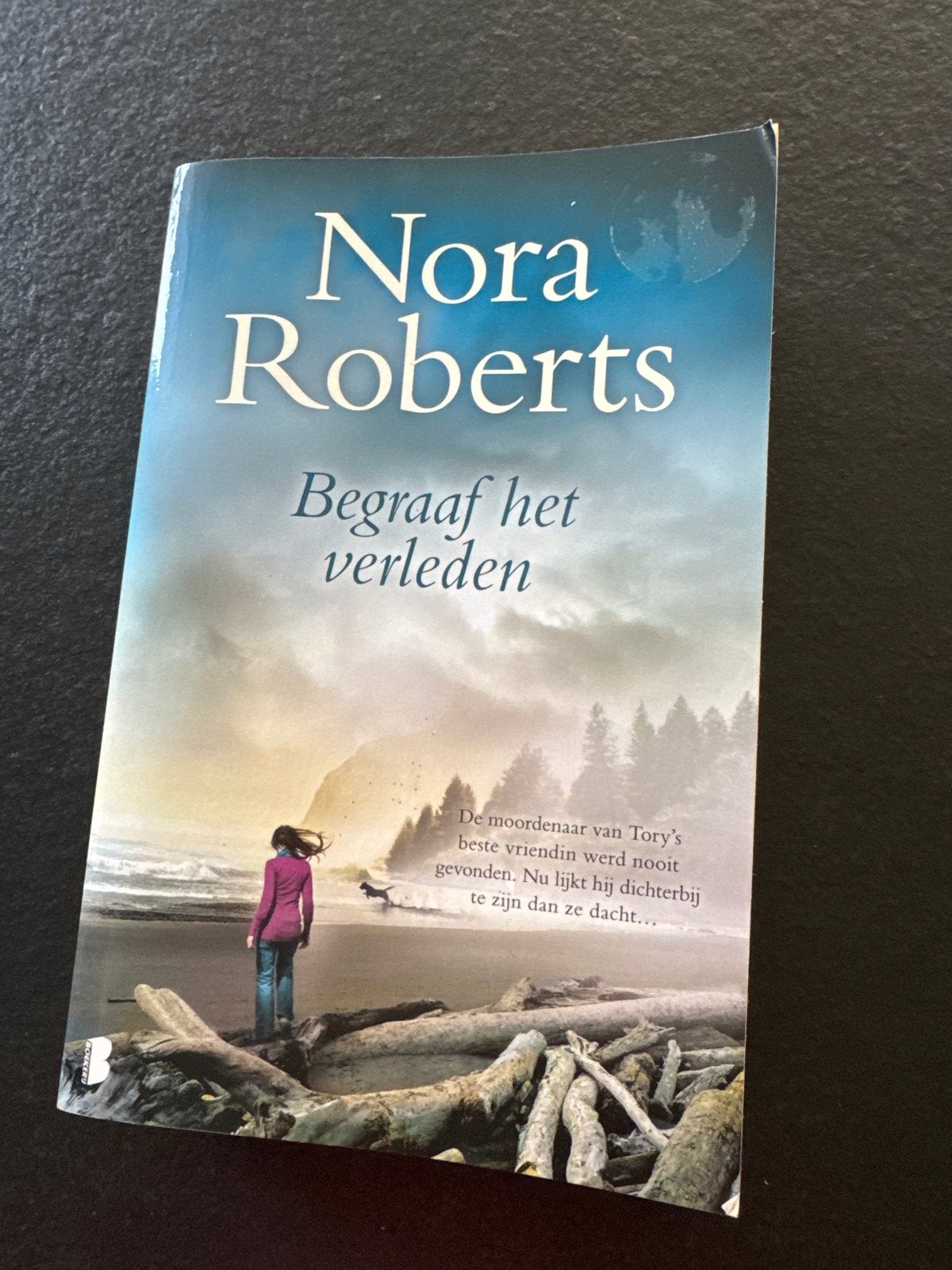 Nora Roberts - Begraaf het verleden (Paperback), Ophalen of Verzenden, Gelezen, Nederland