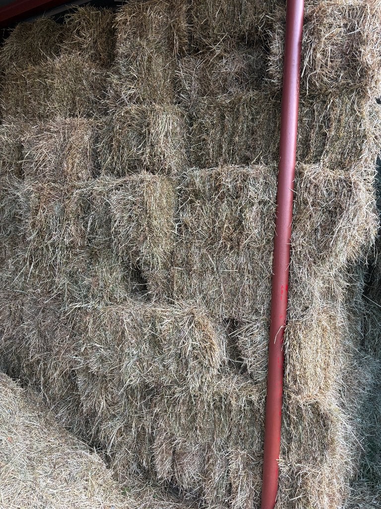 Kleine balen hooi / kleine pakjes hooi, Dieren en Toebehoren, Dierenvoeding, Ophalen, Vee